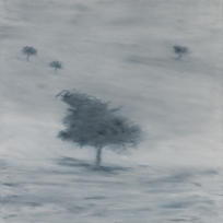 <h4>Vier Bäume • 60 cm x 60 cm • 2015</h4>