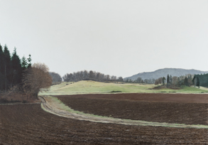 <h4>Landschaft nahe Laacher See • 100 cm x 70 cm •2019</h4>